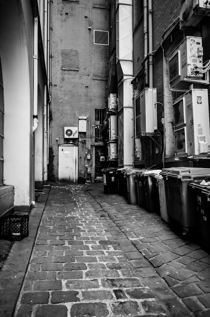Moody black and white photo of a narrow urban alley lined with trash bins.